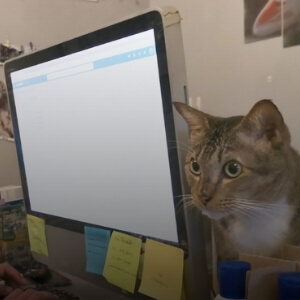 Explore Veterinary
