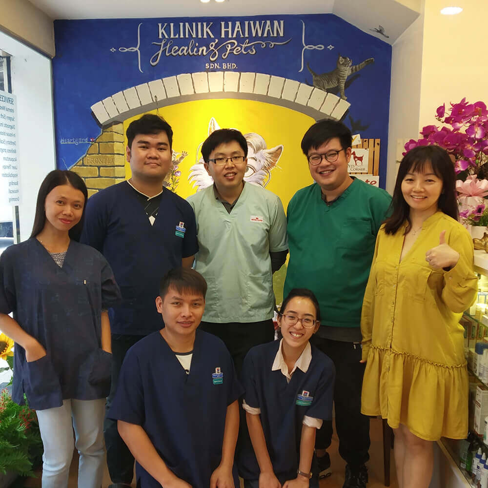 Healing Pets Animal Clinic